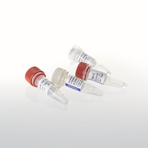 DpnI 200u 200u 200 unités