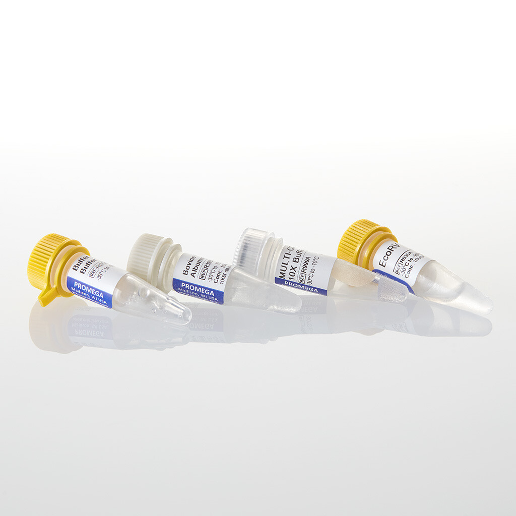 EcoRV 10,000u 10000u 10000 unités