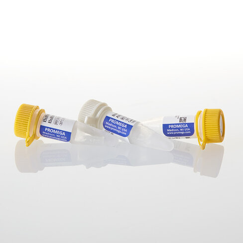 MluI GQ 1,000u 1000u 1000 unités