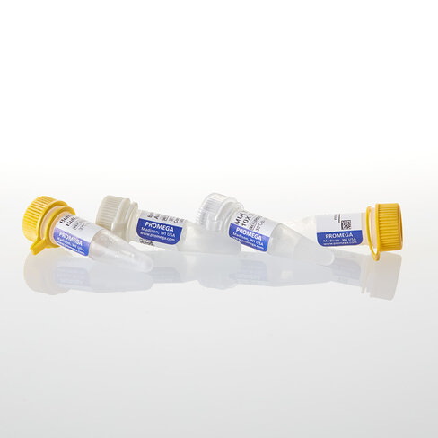 NotI GQ 1,000u 1000u 1000 unités