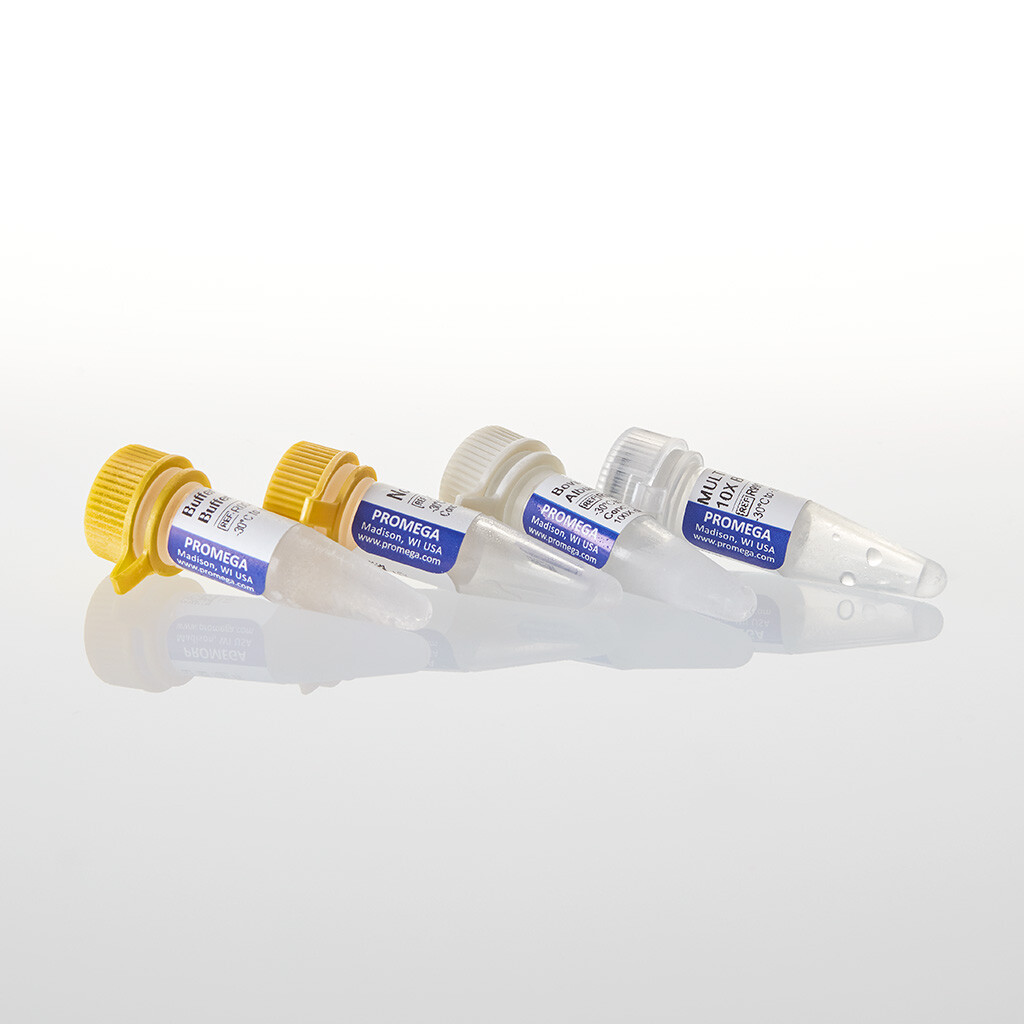 NcoI 200u 200u 200 unités