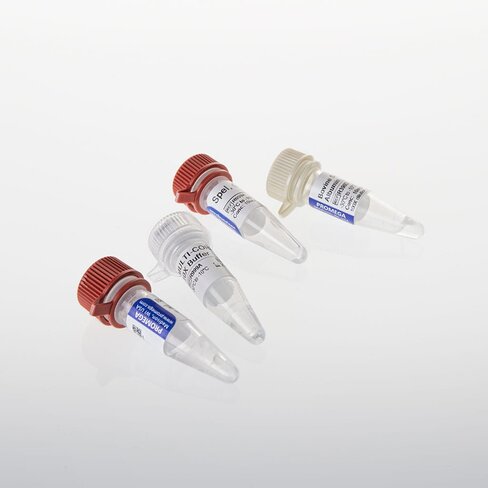 SpeI GQ 200u 200u 200 unités