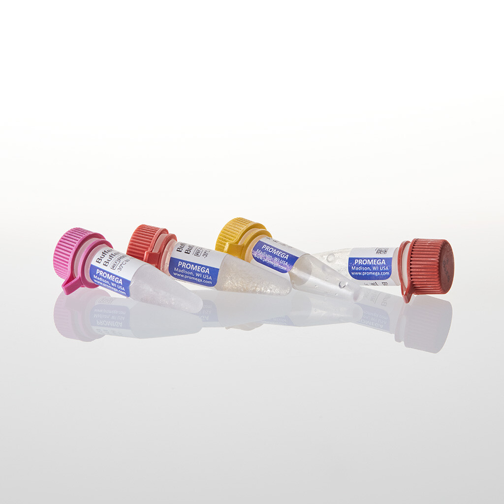 4-CORE Buffer System 1ea 4 ml