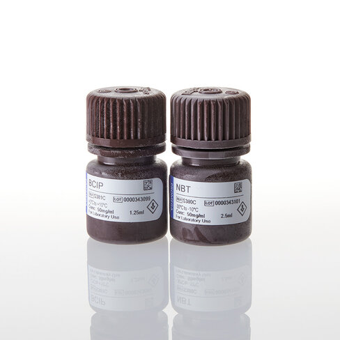 Bcip/nbt color development substrate 1,25/2,5 ml