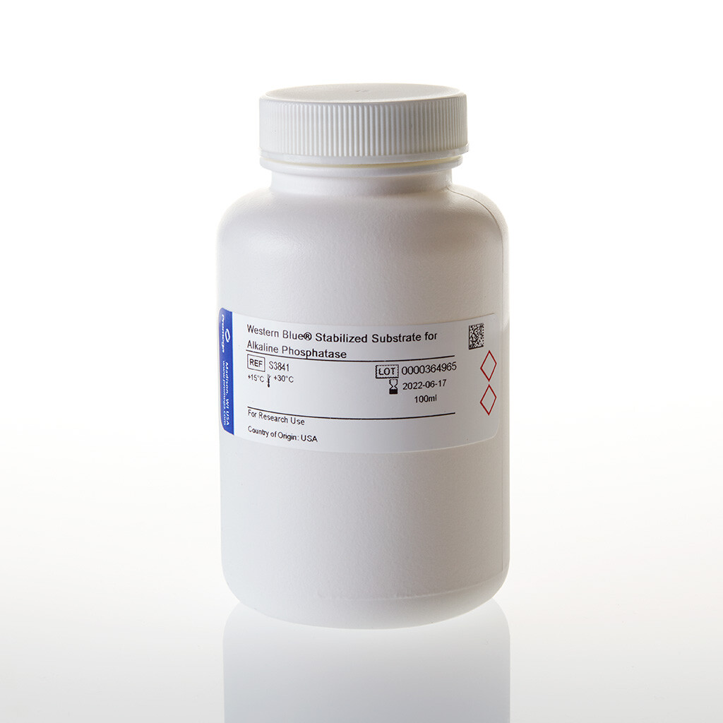 Western blue stabilized substrate for alk phosphatase 100 ml