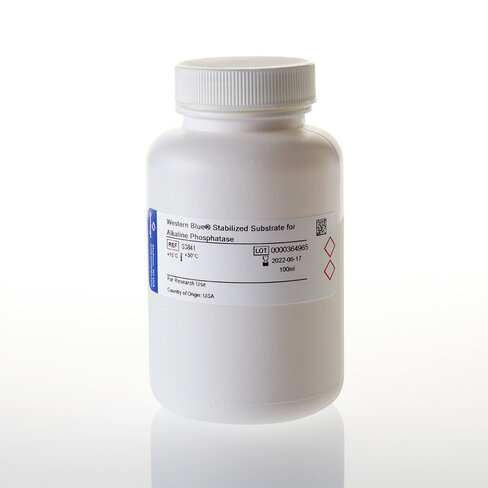 Western blue stabilized substrate for alk phosphatase 100 ml