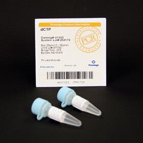 DCTP 100mM 200 µmol