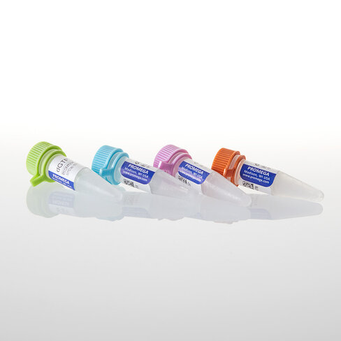 Set of dUTP dCTP dGTP dATP 100mM Each 40 µmol