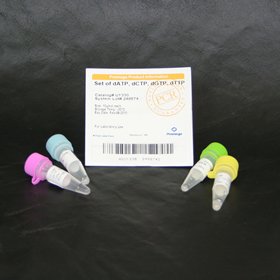 4 dNTP s EAch 10 µmol