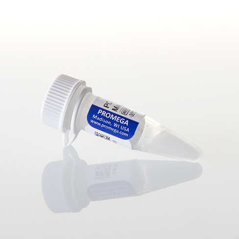 PCR Nucleotide Mix 25mM 200 µl