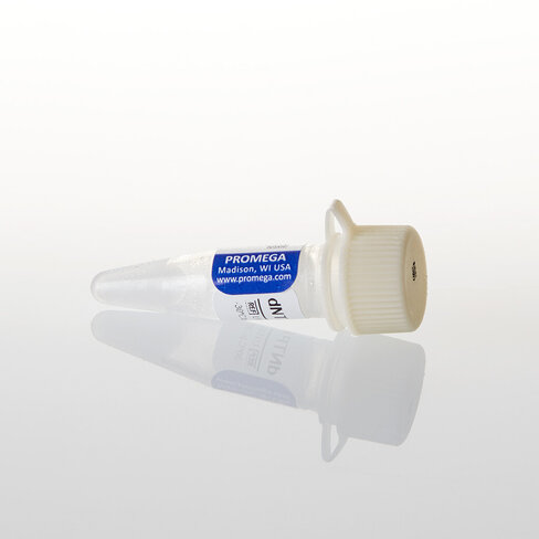 DNTP Mix 10mM 200 µl