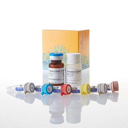 PDE-Glo Phosphodiesterase Assay, 1000