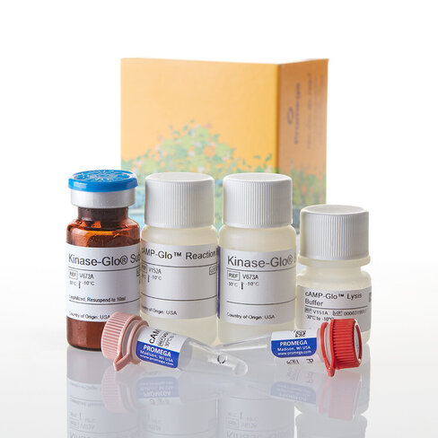 Camp-Glo Assay 300 reactions