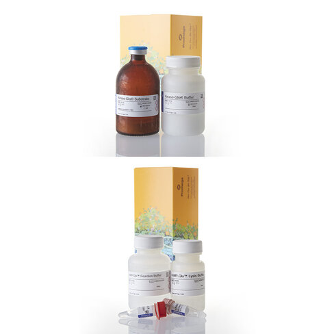 Camp-Glo Assay 3000 reactions