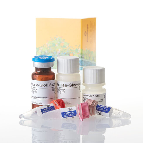 CAMP-Glo Max Assay 20 plaque