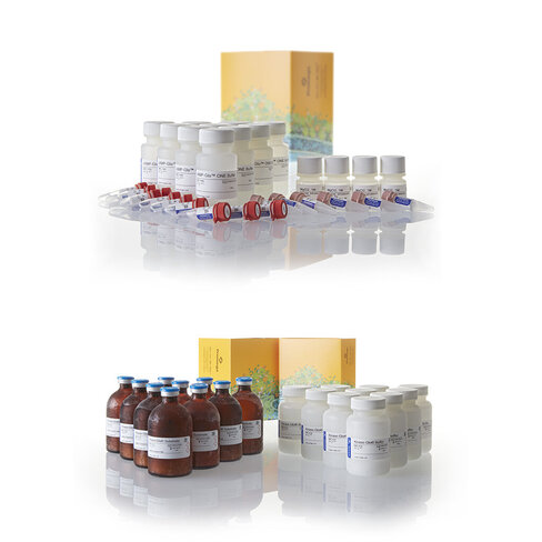 CAMP-Glo Max Assay 10×20