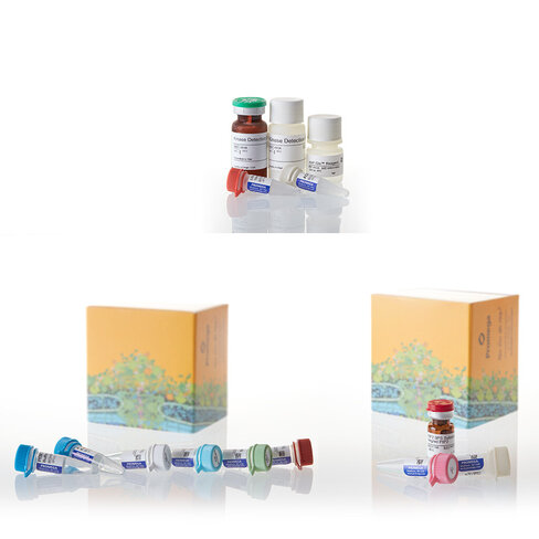 PI3K-Glo(TM) Class I Profiling Kit