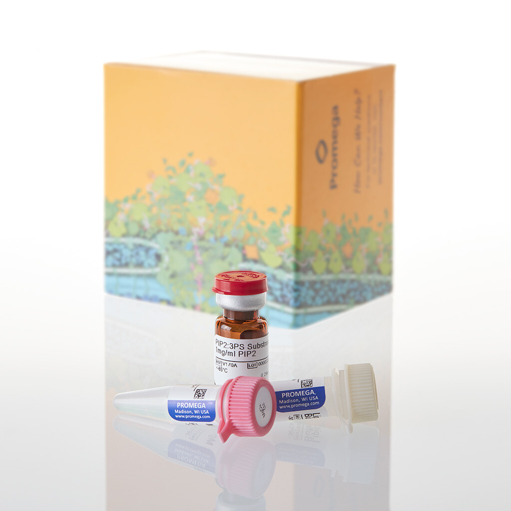 PIP2:3PS Lipid Kinase Substrate, 0,25 mg