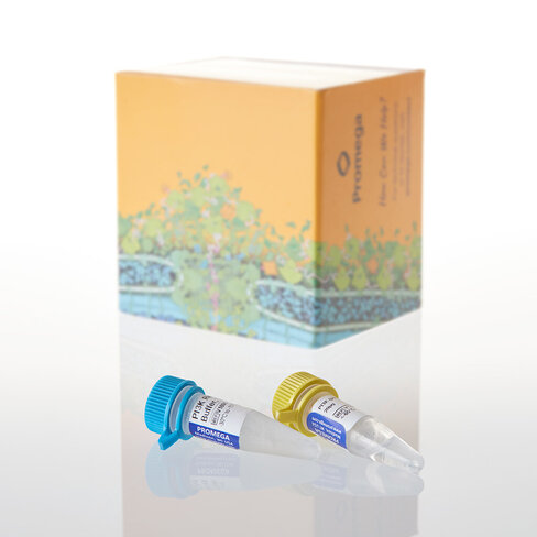 PI3K (p110 Alpha [H1047R]/p85 Alpha), 20 ?g