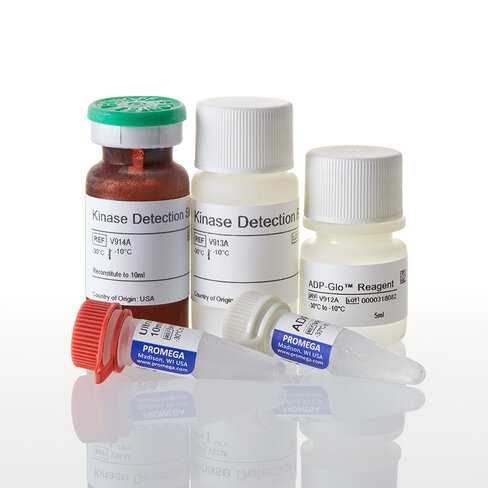 ADP-Glo Kinase Assay with PI:3PS 1000 tests