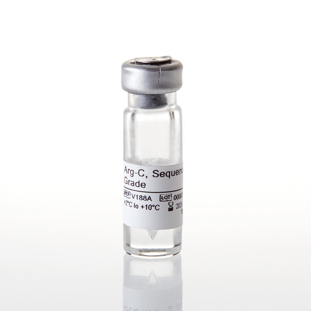 Arg-C Sequencing Grade 10 µg
