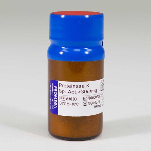 Proteinase K 100 mg 100 mg