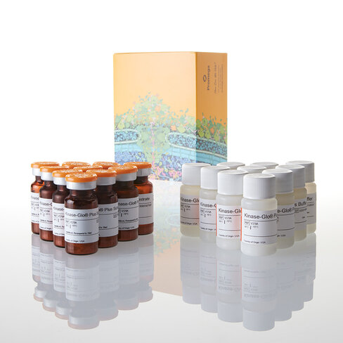 Kinase-Glo Plus Luminescent Kinase Assay 10x10 ml