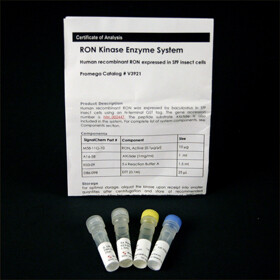 RON Kinase Enzyme System 10 µg