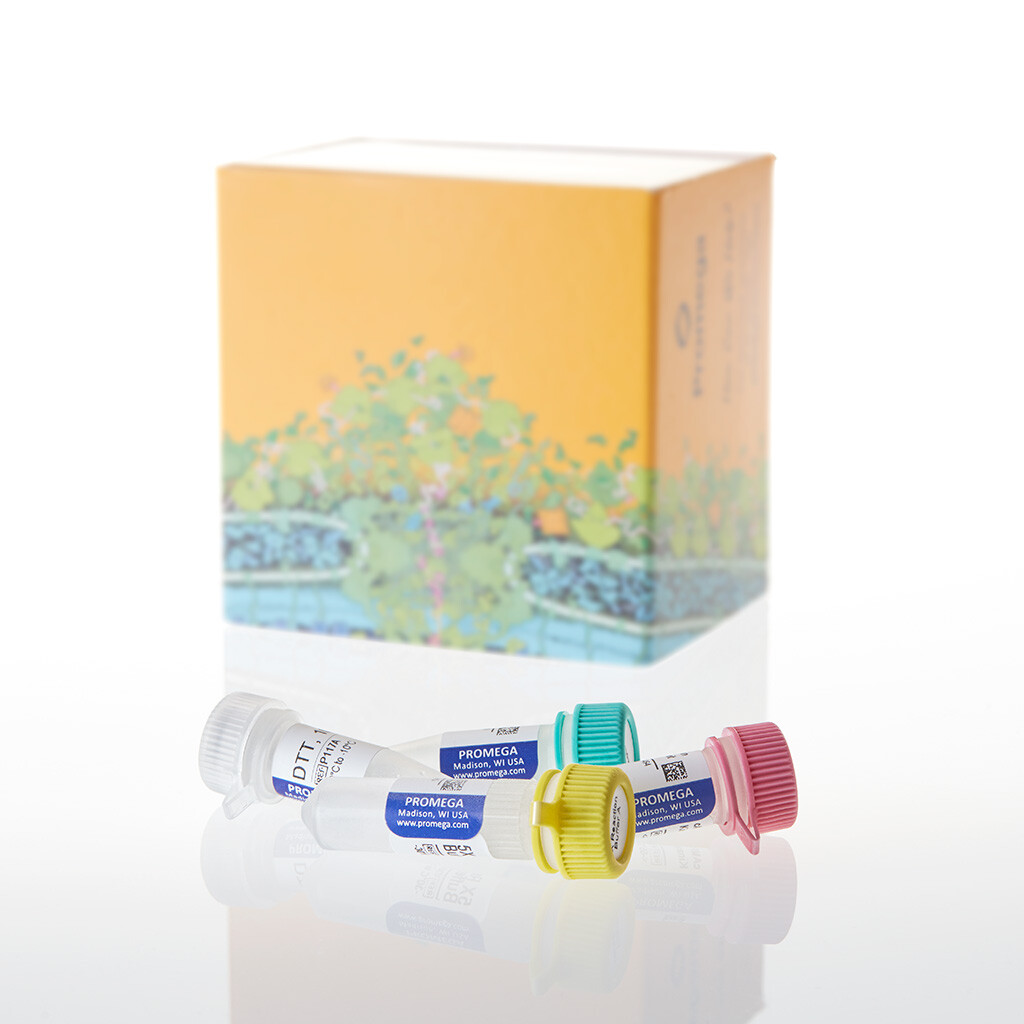 PKA Kinase Enzyme System 2500 unités