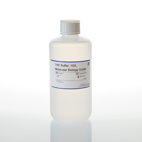 TAE Buffer 10X 1000 mL