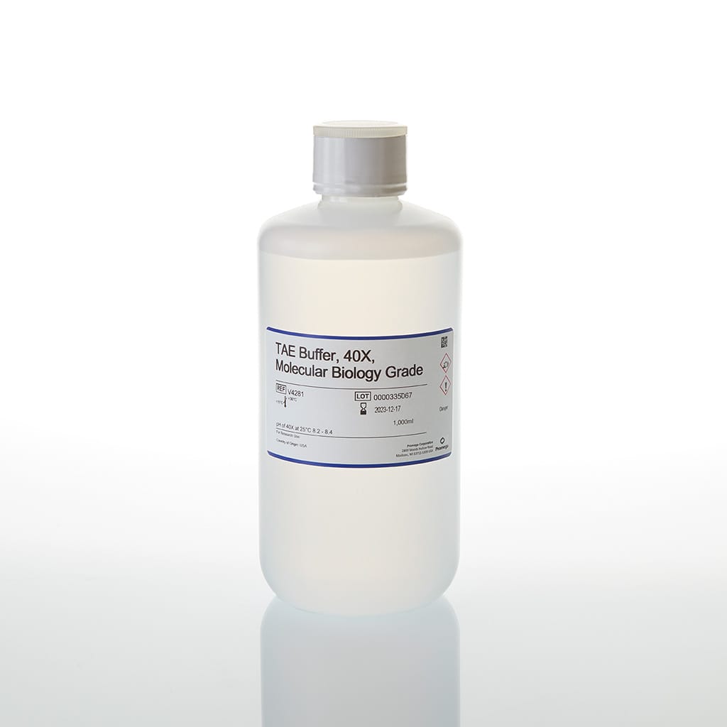 TAE 40X (Tris-acetate-EDTA) 1000 mL