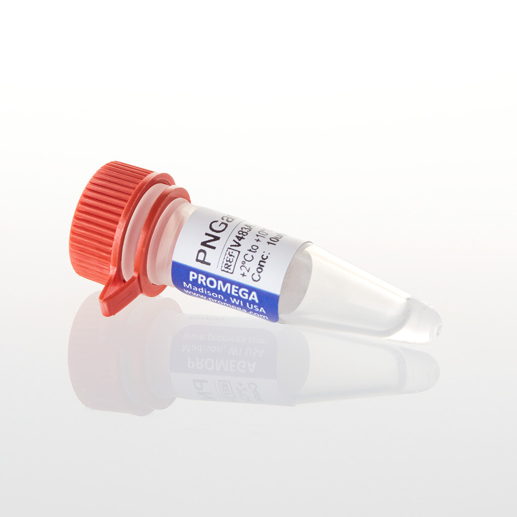 PNGase F 500u 500 unités