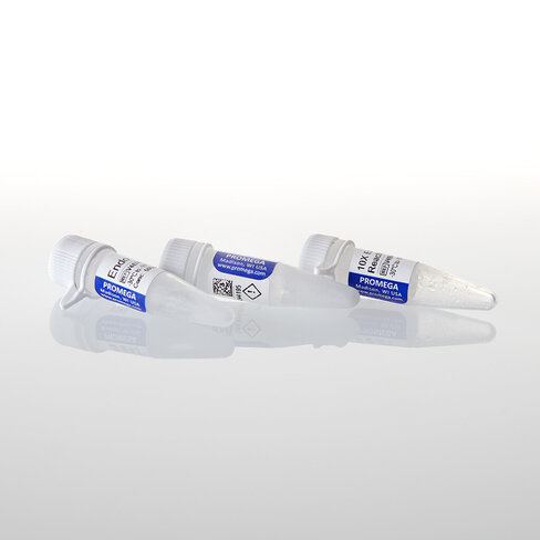 Endo H 10,000 units 10000u 10000 unités