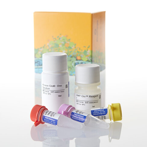 Amp-Glo Assay 1000 reactions