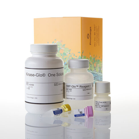AMP-Glo Assay 10000 tests