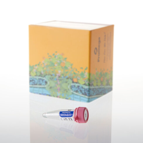 Camp-Dependent Protein Kinase Catalytic 2500u 2500 unités