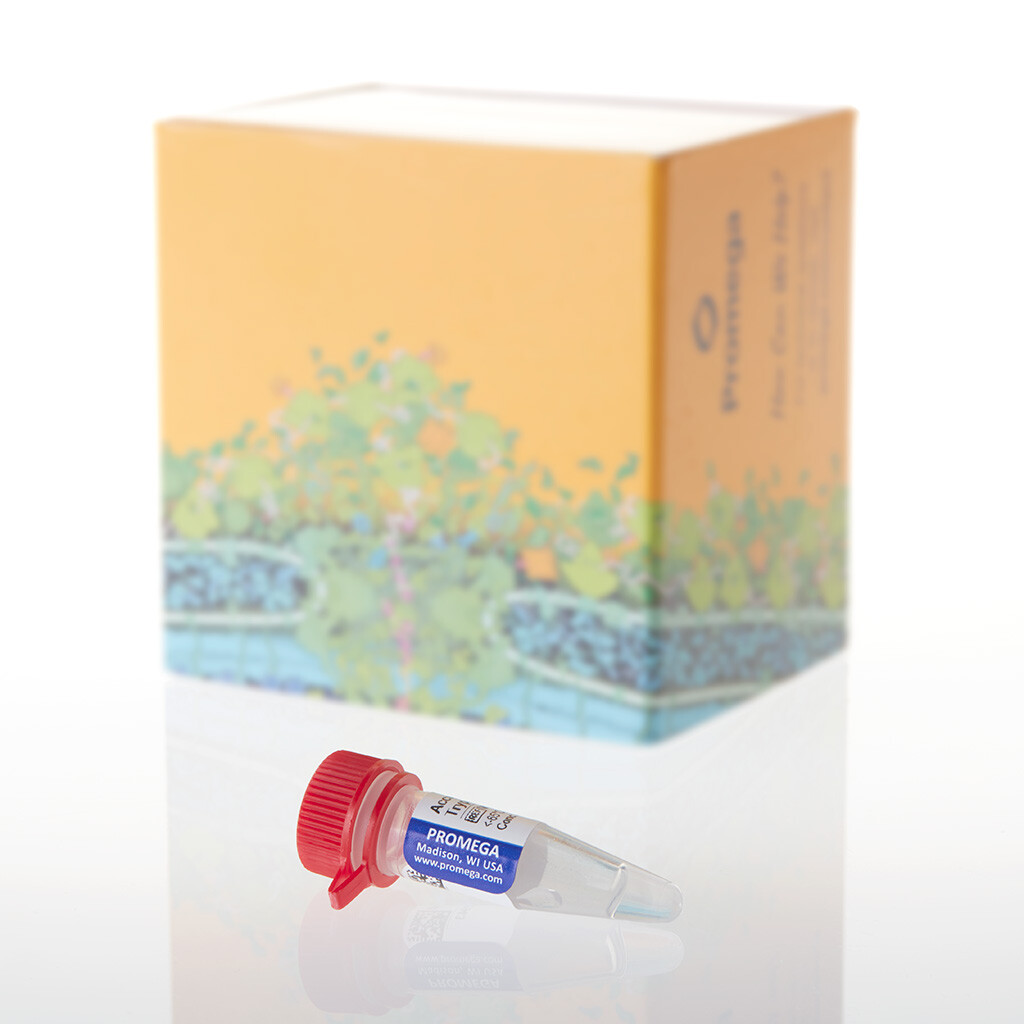 AccuMAP Modified Trypsin Sol 120 µl