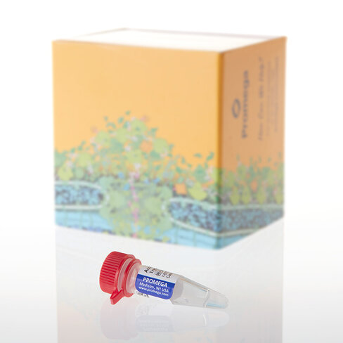 AccuMAP Modified Trypsin Sol 120 µl