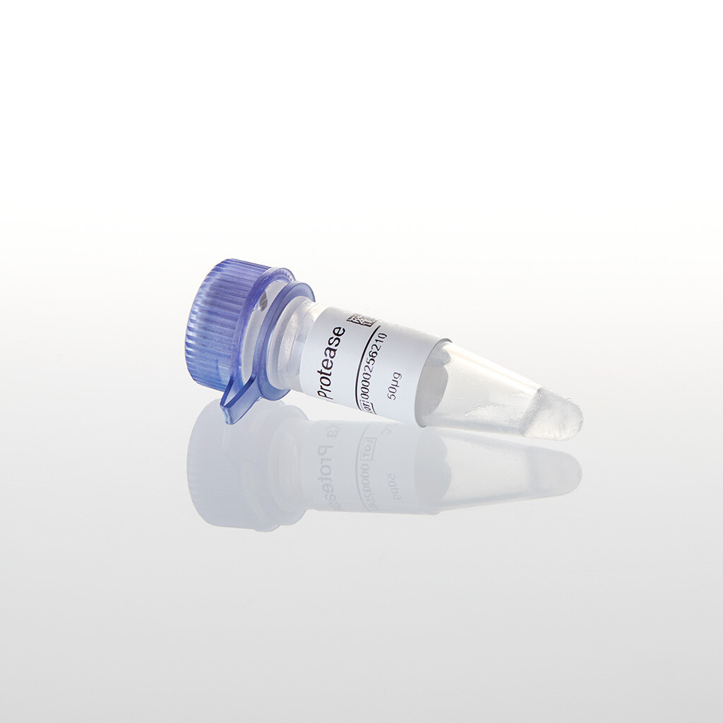 Factor Xa Protease 50 µg