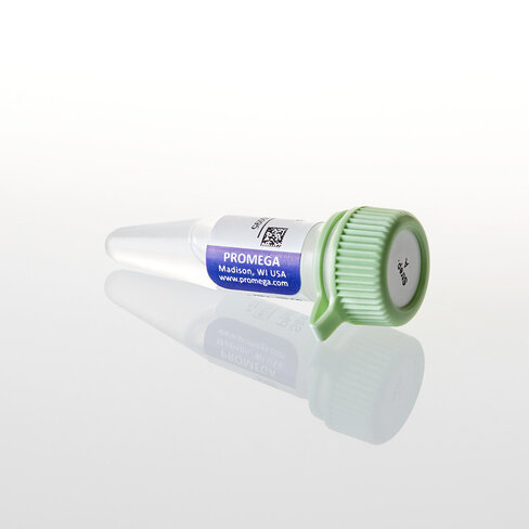 Streptavidin Alkaline Phosphatase 0,5 mL