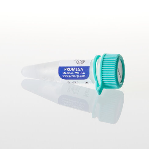 Kemptide (PKA) Peptide Substrate, 1 mg