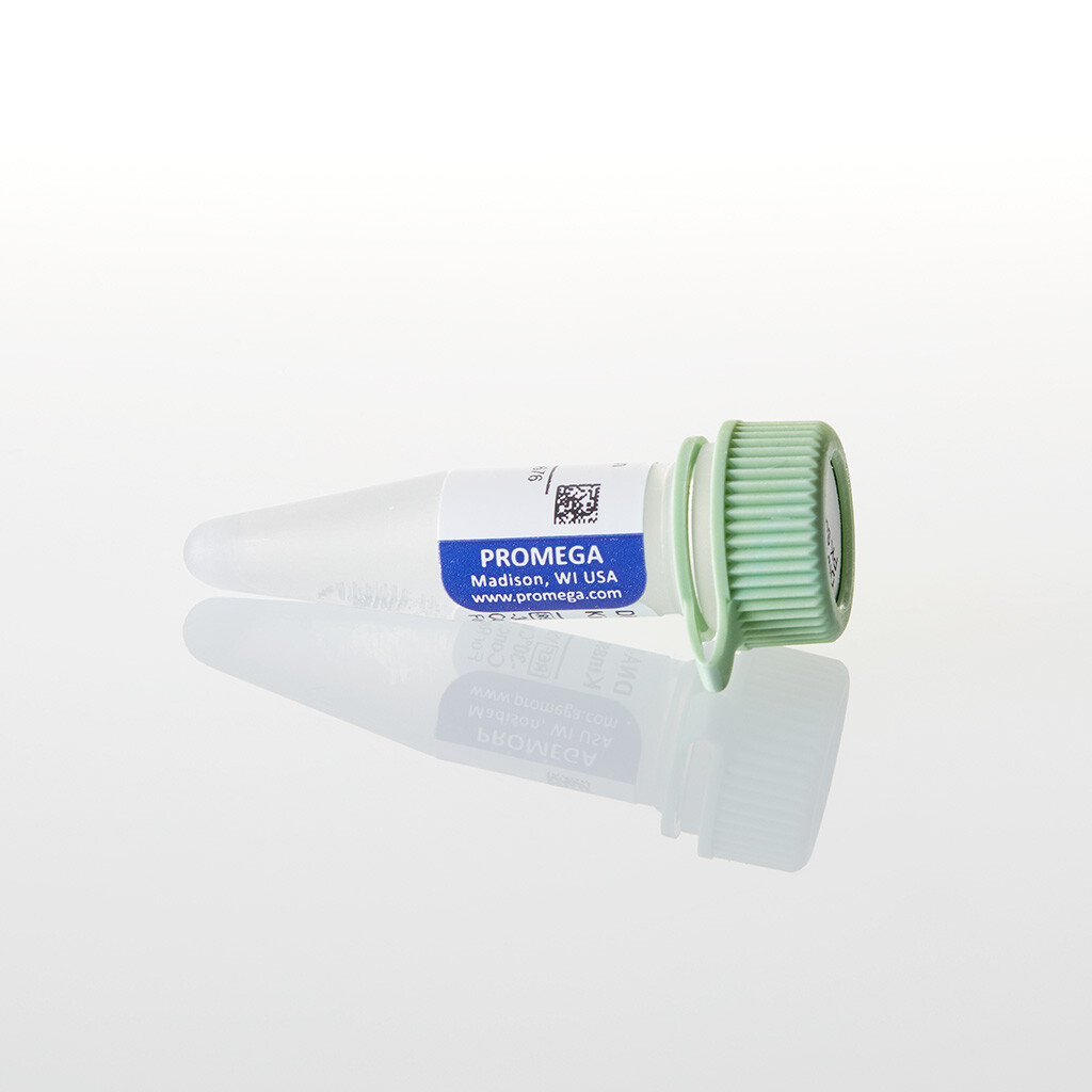 DNA-Dependent Protein Kinase Peptide Substrate 1 mg