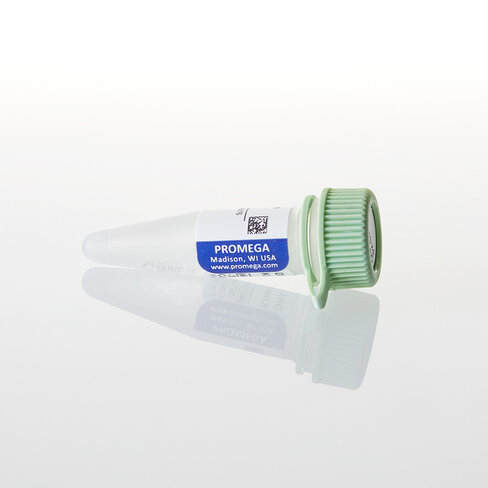 DNA-Dependent Protein Kinase Peptide Substrate 1 mg