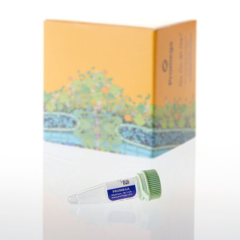 DNA-Dependent Protein Kinase 2500 unités