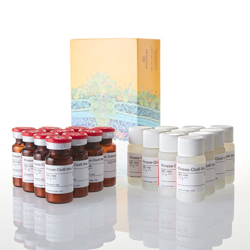 Kinase-Glo Max Luminescent Kinase Assay 100 mL