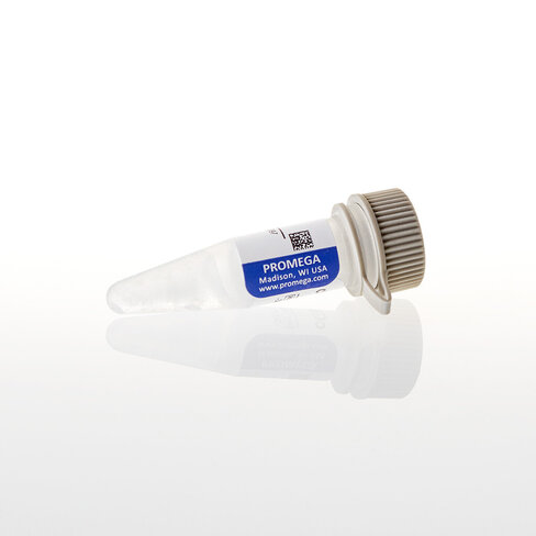 CGMP 1 mM, 500 ?l
