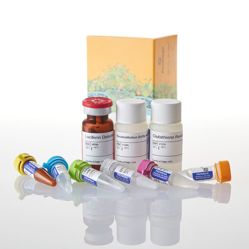 GSH/GSSG-Glo Assay 10 mL