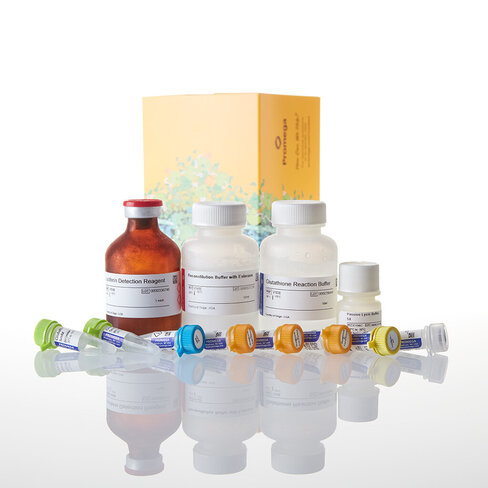 GSH/GSSG-Glo Assay 50 mL