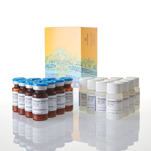Kinase-Glo Luminescent Kinase Assay 100 mL