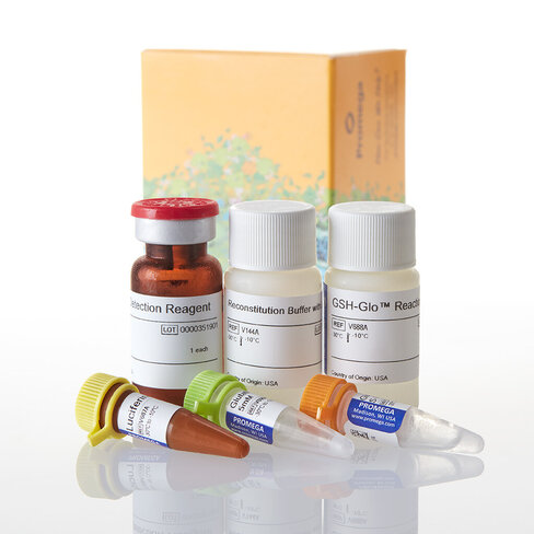 GSH-Glo Glutathione Assay 10 mL